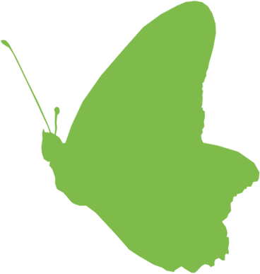 Logo butterfly